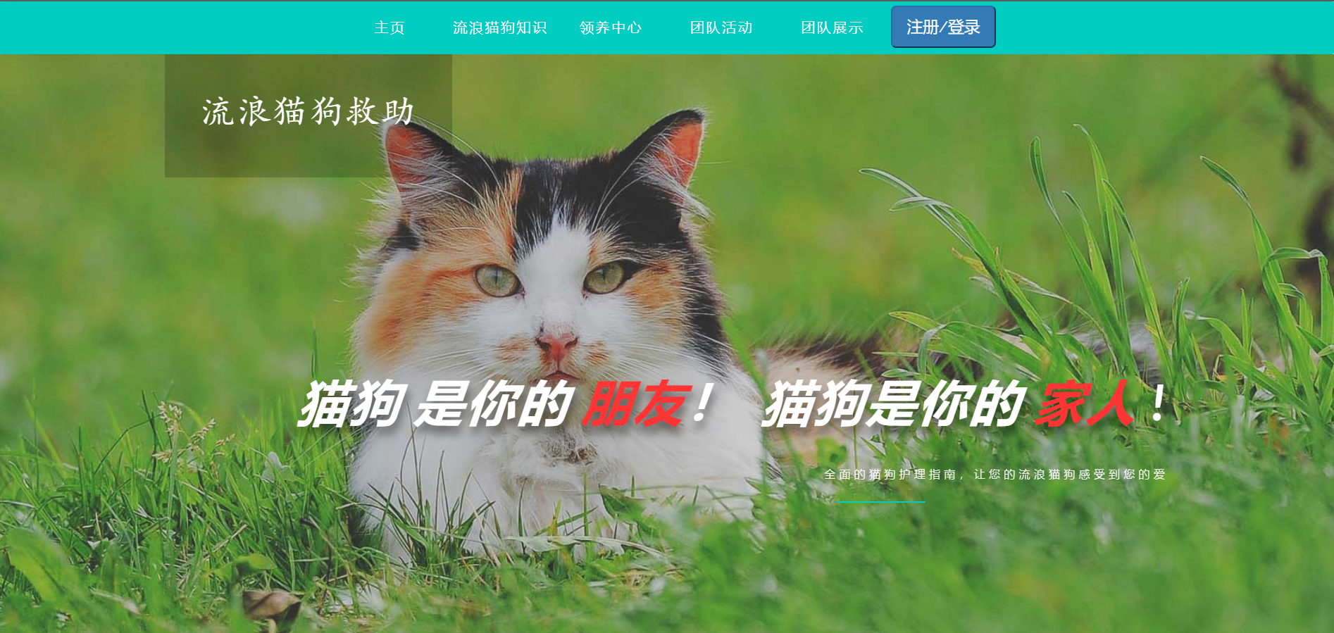 QQ截图20210513135243