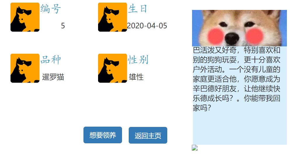 QQ截图20210513135641
